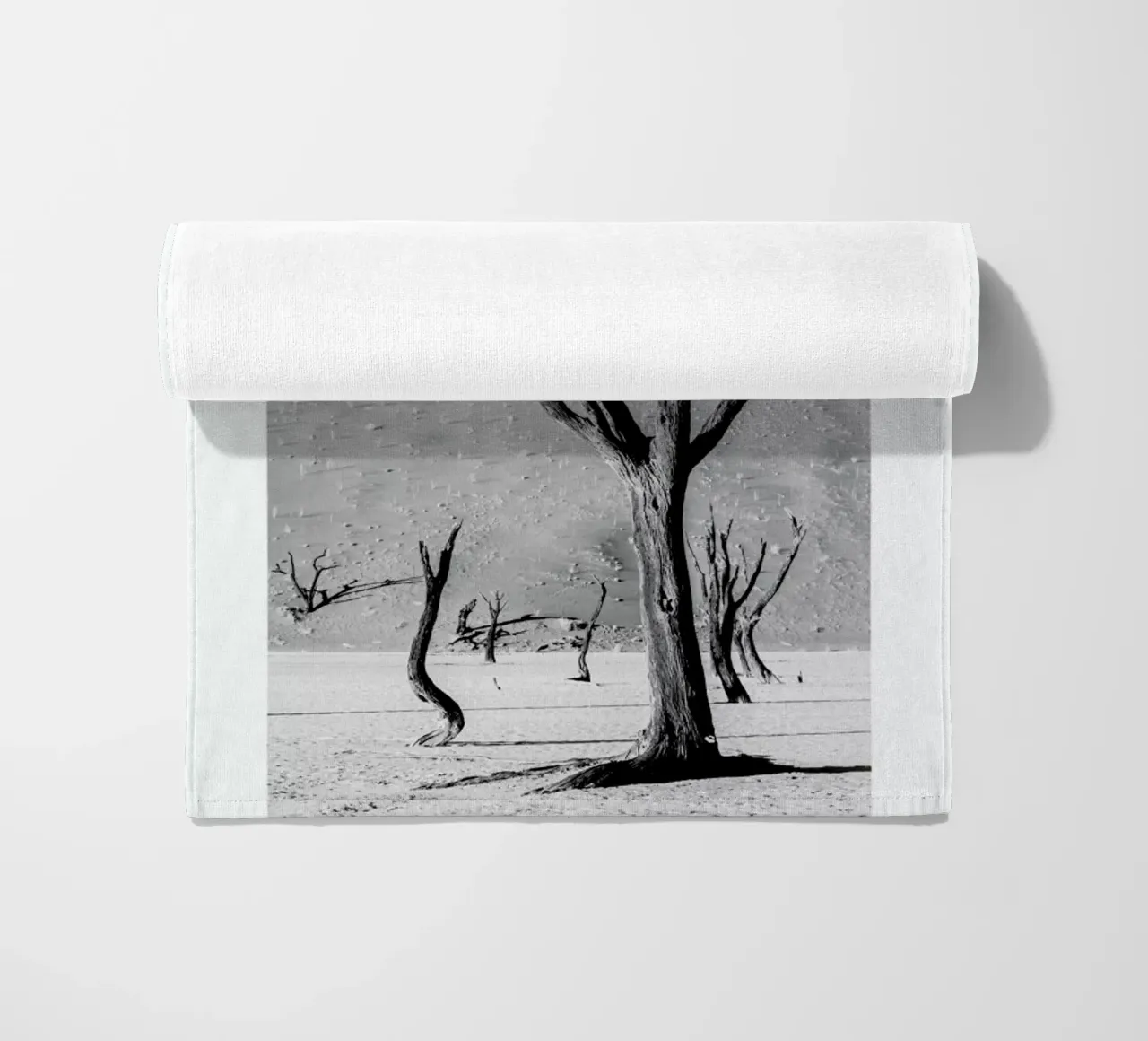 Deadvlei Trees telo mare da METROPOLIS