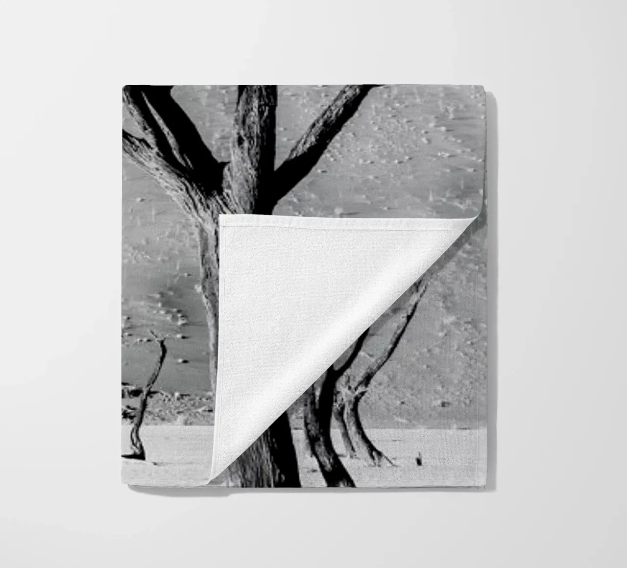 Deadvlei Trees telo mare da METROPOLIS