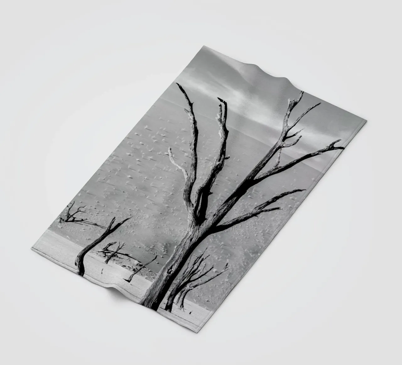 Deadvlei Trees coperta in pile da METROPOLIS