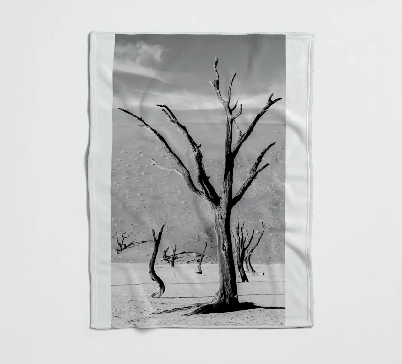 Deadvlei Trees coperta in pile da METROPOLIS
