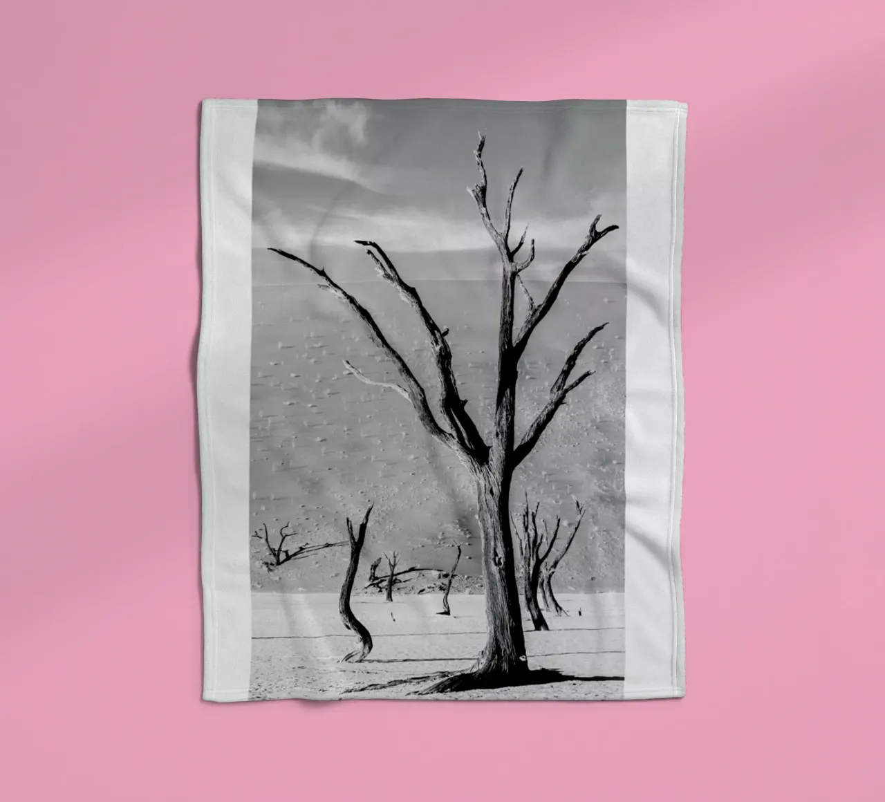 Deadvlei Trees coperta in pile da METROPOLIS