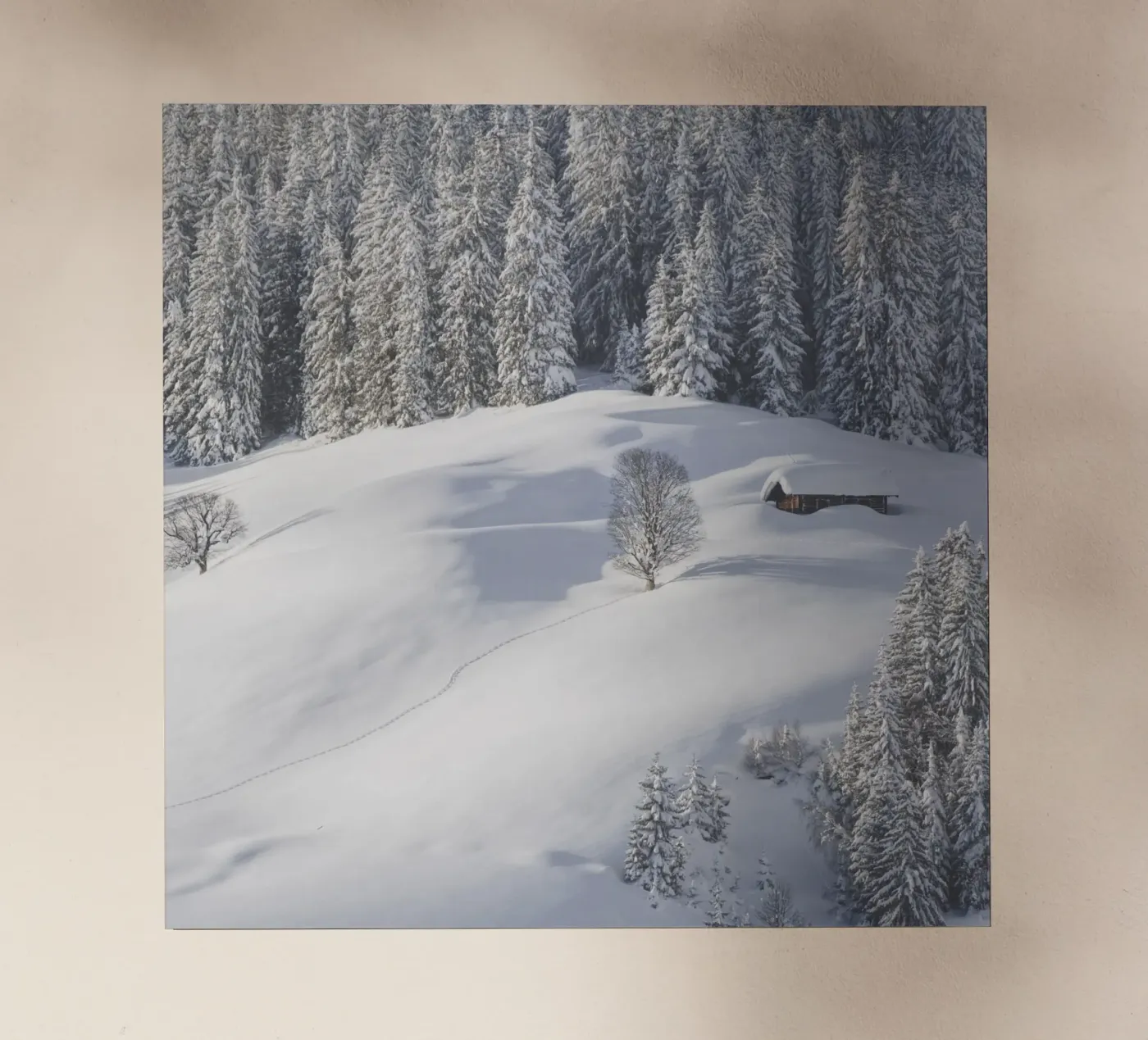 Let’s Rest a While pellicola backlit da Nur Mut