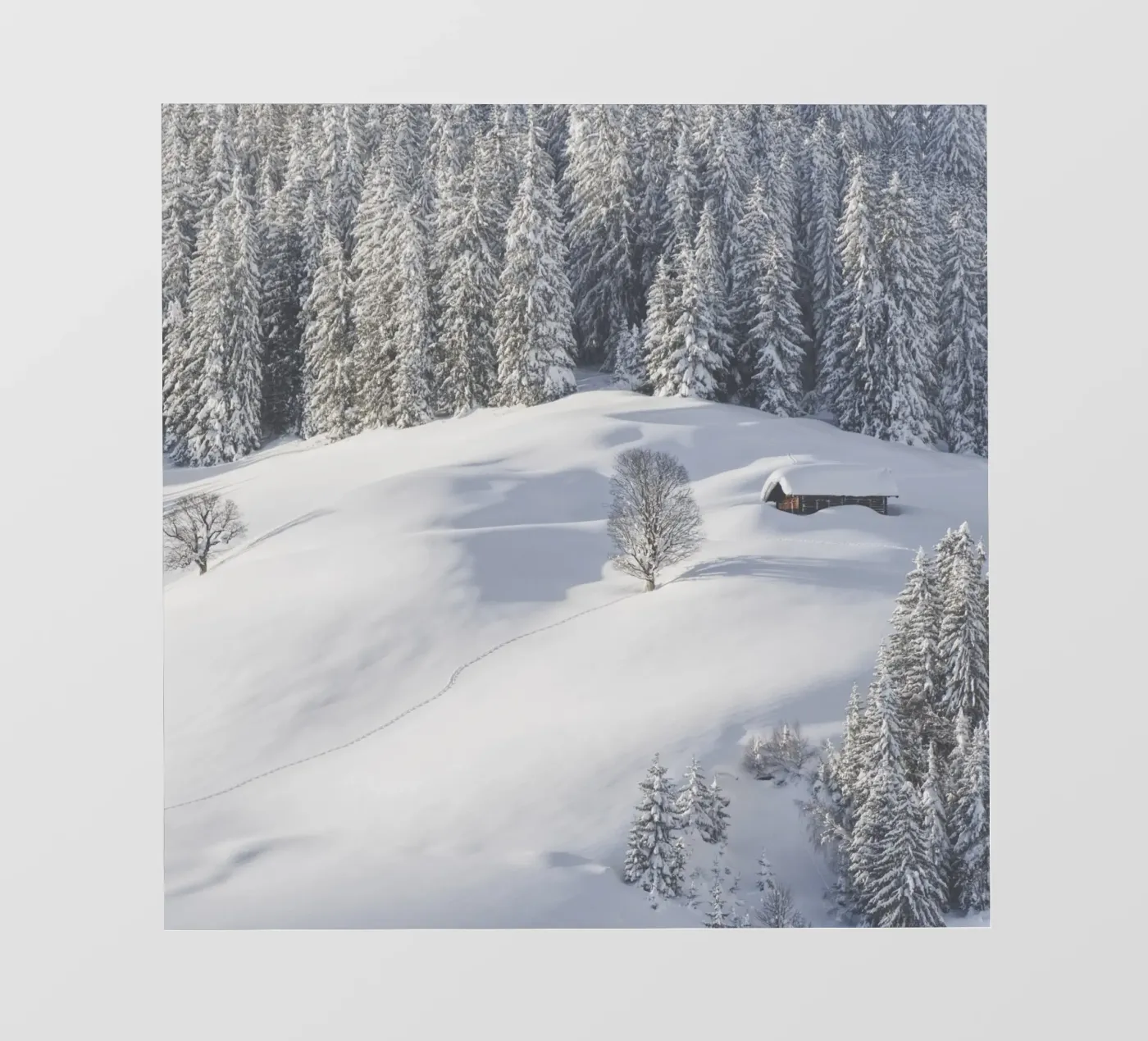 Let’s Rest a While pellicola backlit da Nur Mut