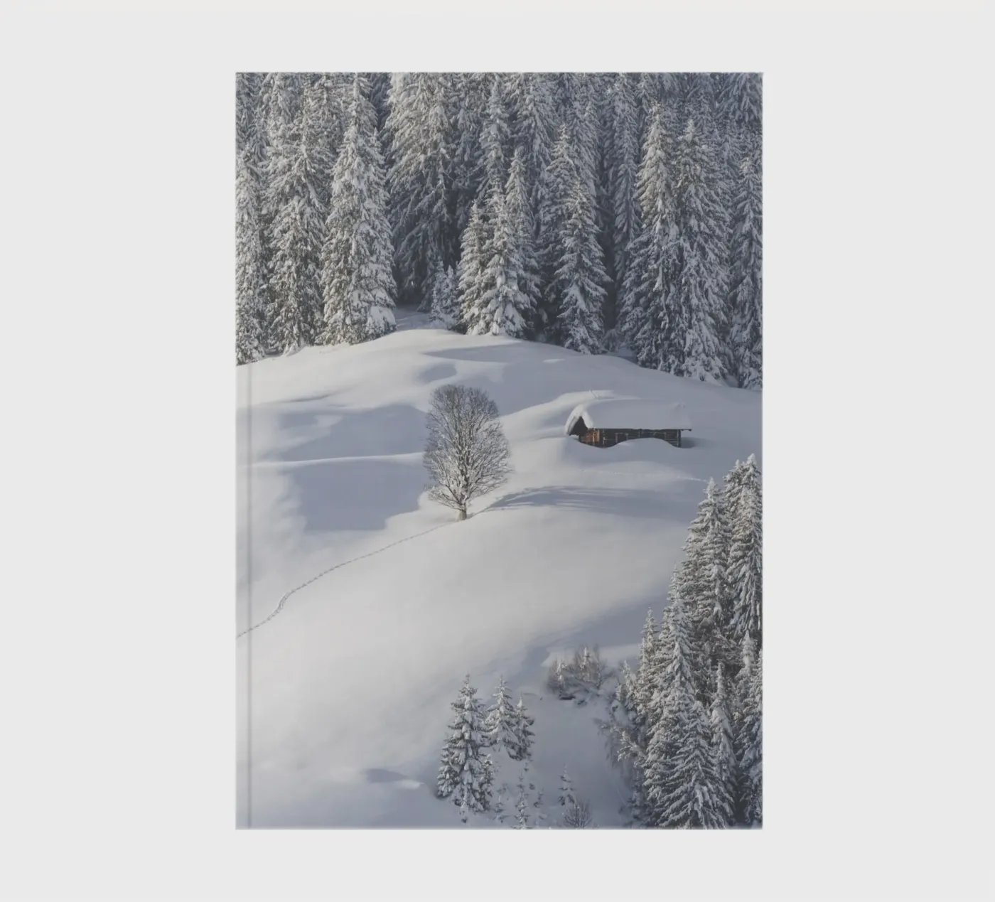 Let’s Rest a While quaderno da Nur Mut