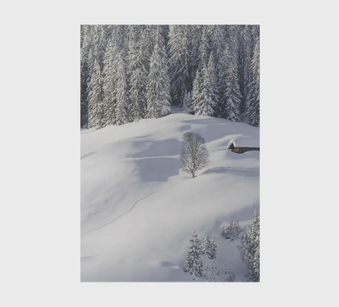 Let’s Rest a While quaderno da Nur Mut