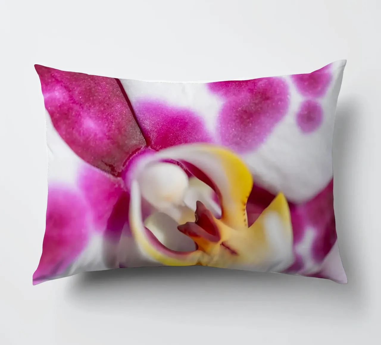 Orchidea #3 cuscino da rafael campezato