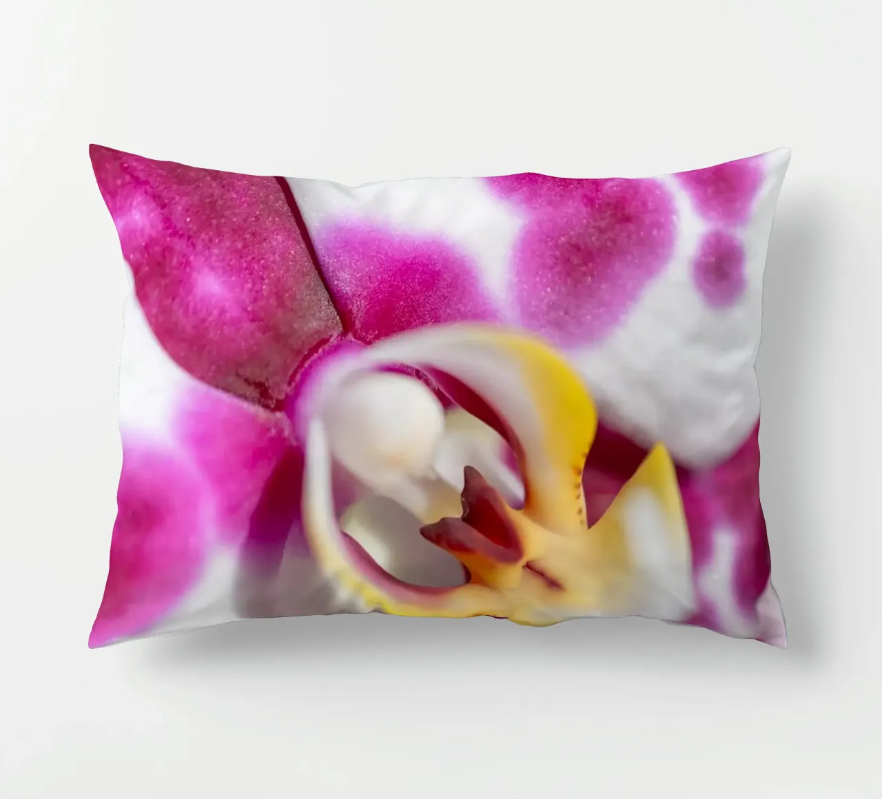 Orchidea #3 cuscino da rafael campezato