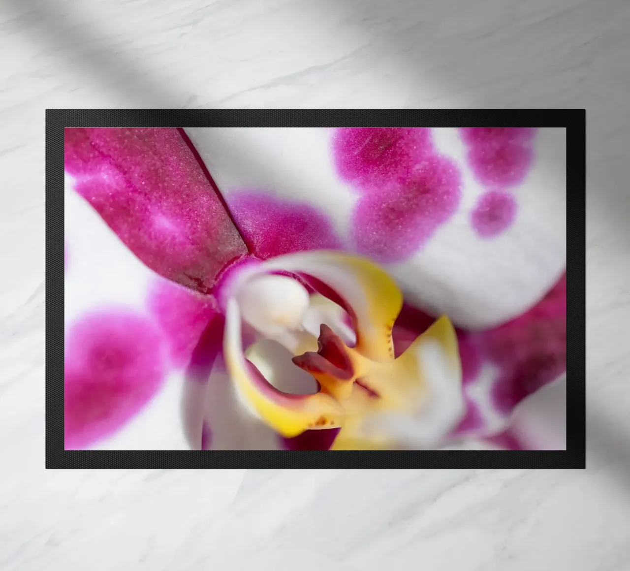 Orchidea #3 zerbino da rafael campezato