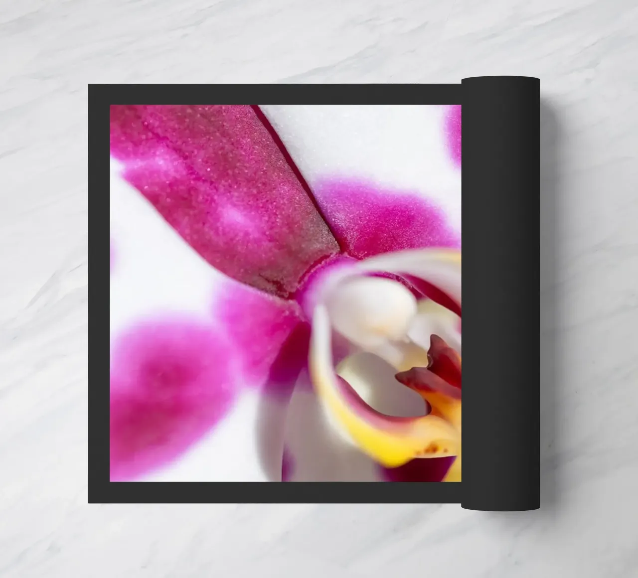 Orchidea #3 zerbino da rafael campezato