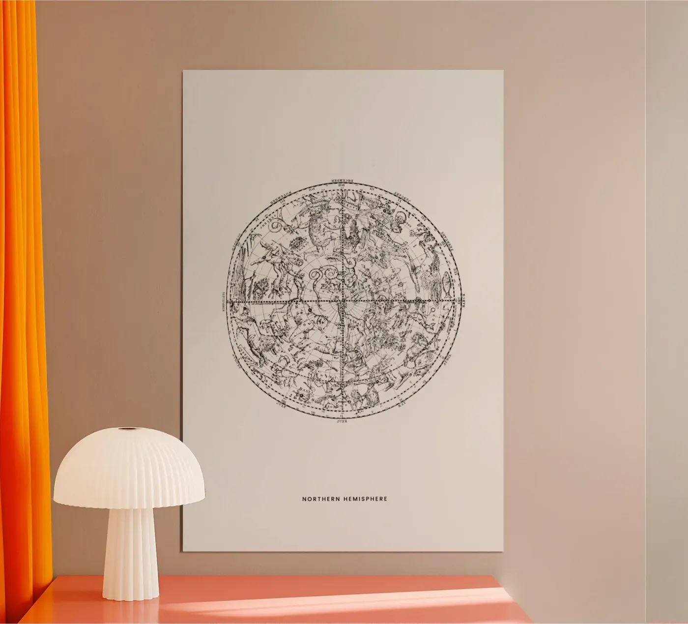 Northern Hemisphere poster da Flora & Fauna