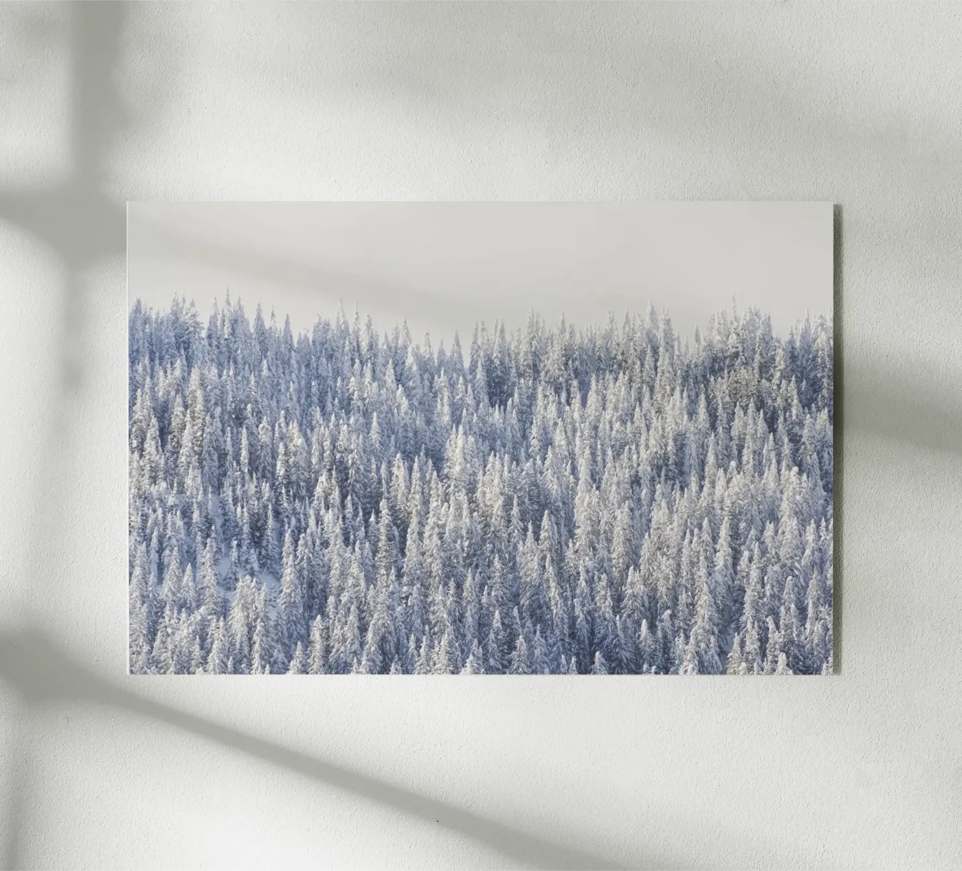 Winter Forest Acryl-Glas von Nur Mut