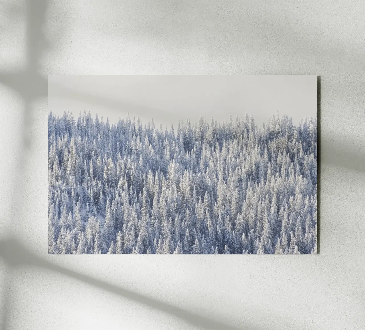 Winter Forest forex plate by Nur Mut