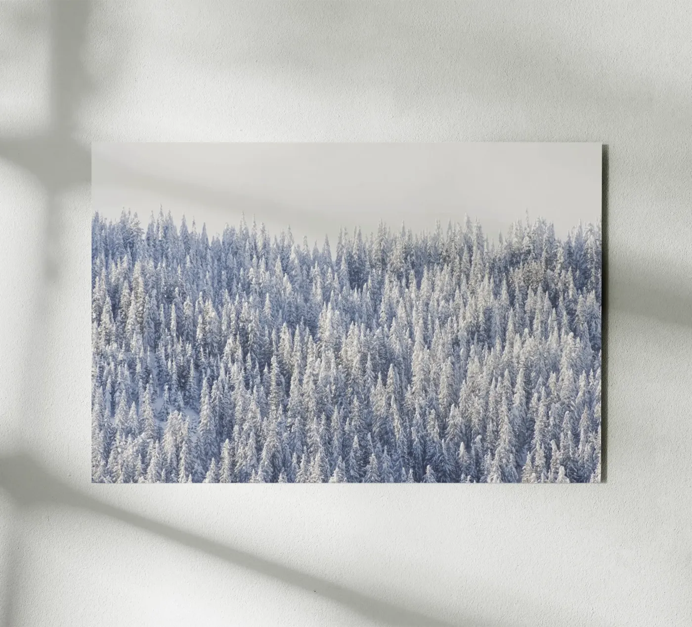 Winter Forest forex plate by Nur Mut