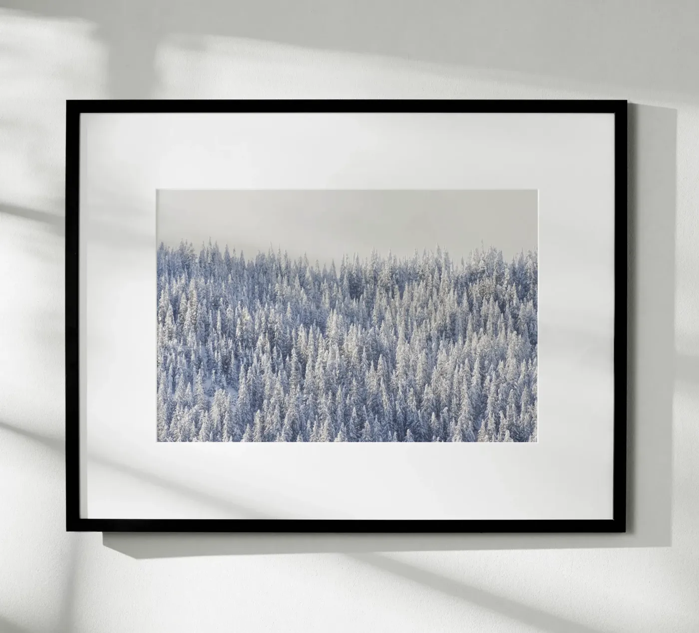 Winter Forest Poster von Nur Mut