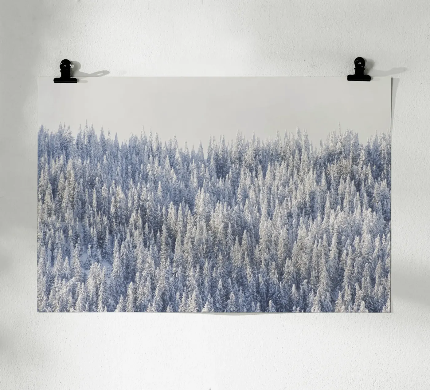Winter Forest Poster von Nur Mut