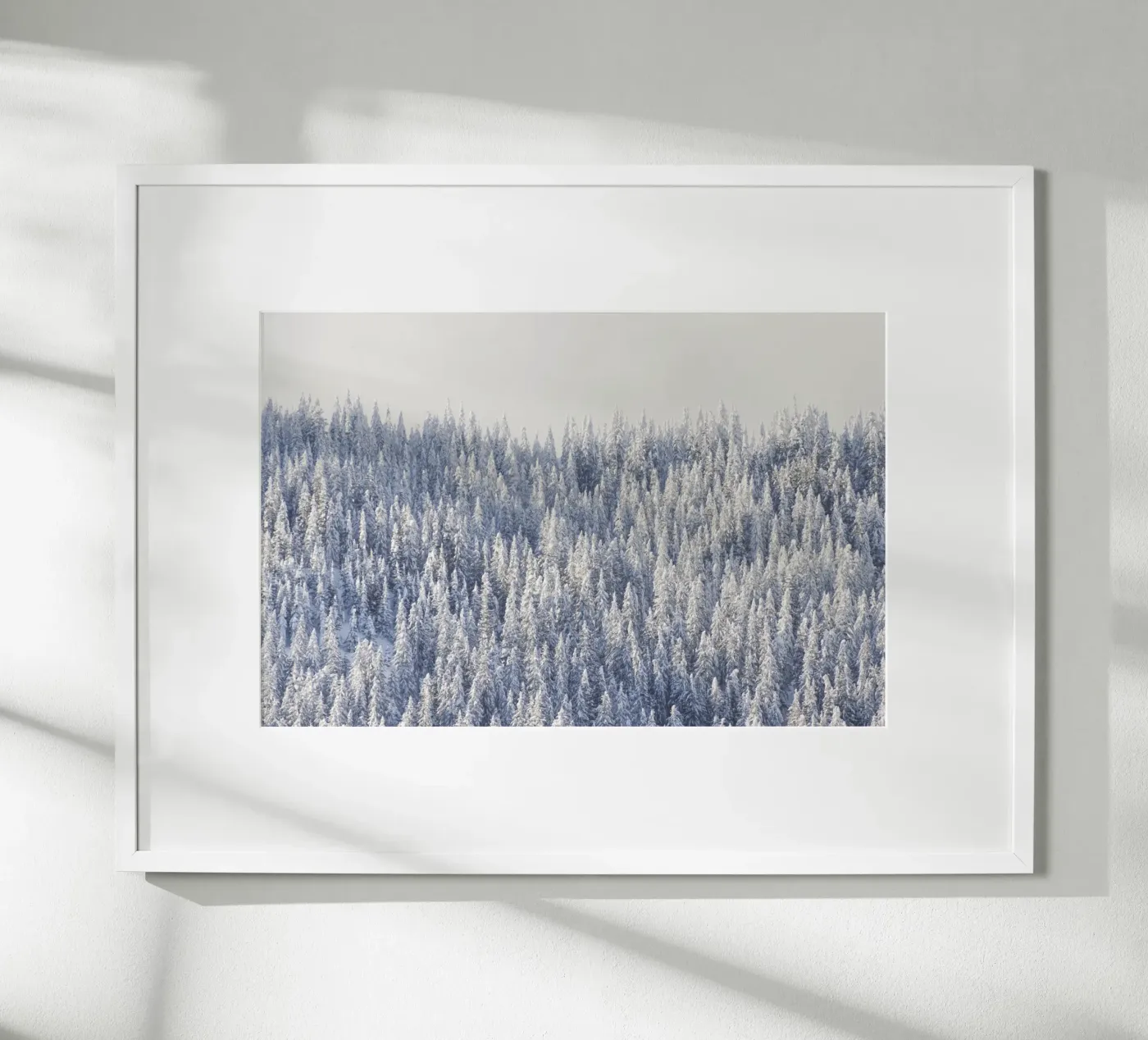 Winter Forest Poster von Nur Mut