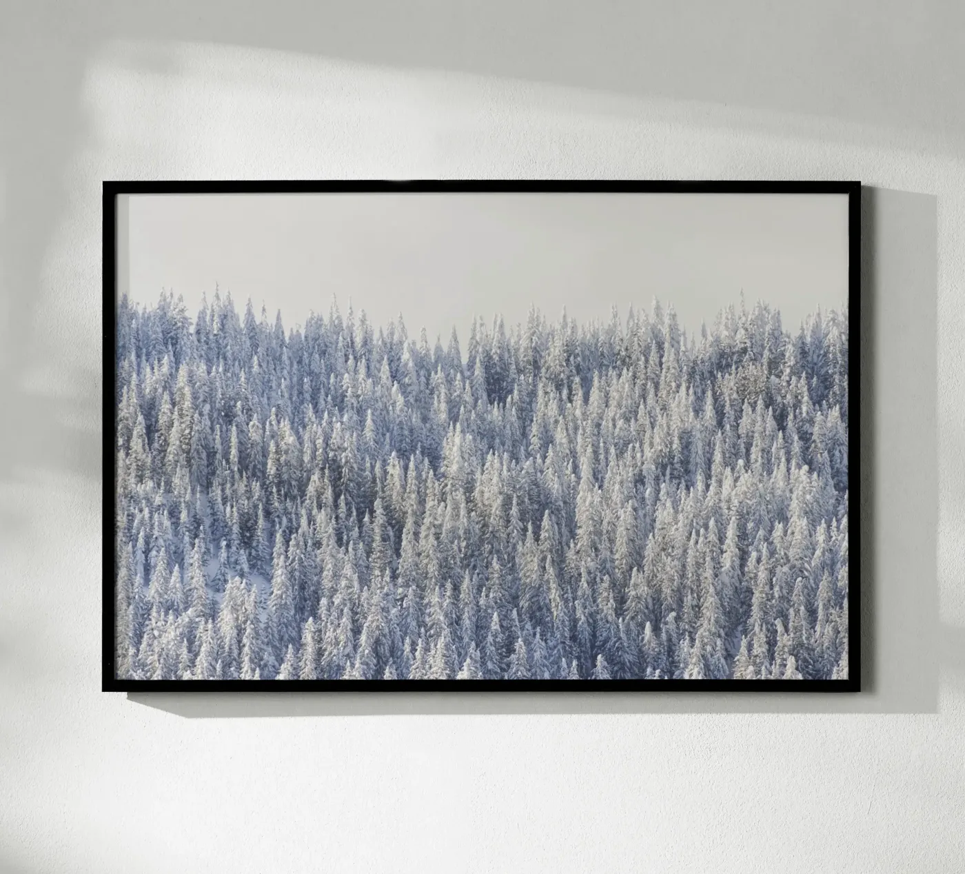 Winter Forest Poster von Nur Mut