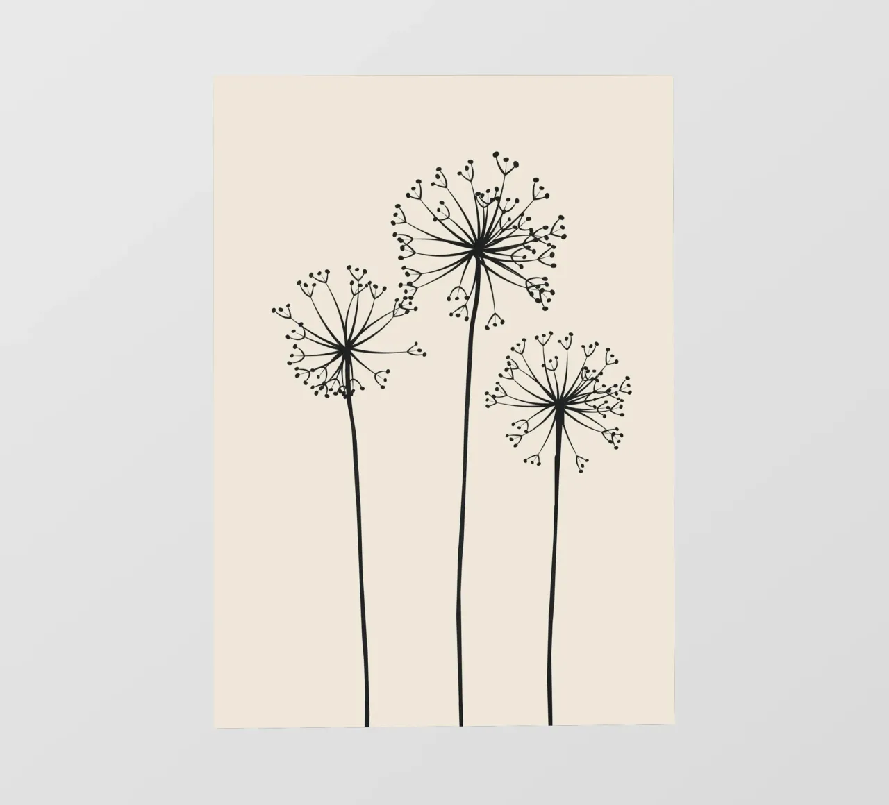 Dandelions pellicola backlit da Flow Line