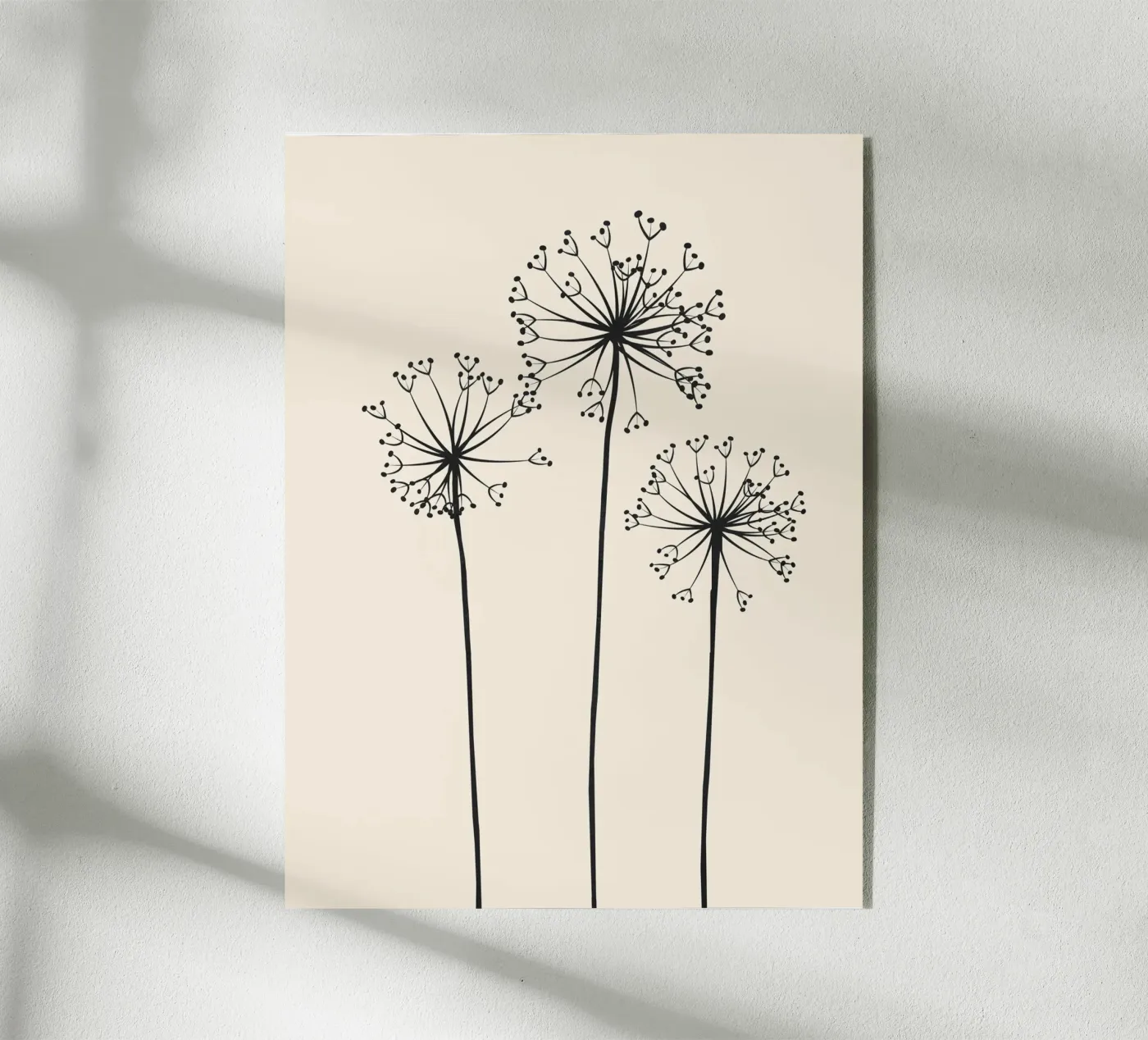 Dandelions plexiglass da Flow Line