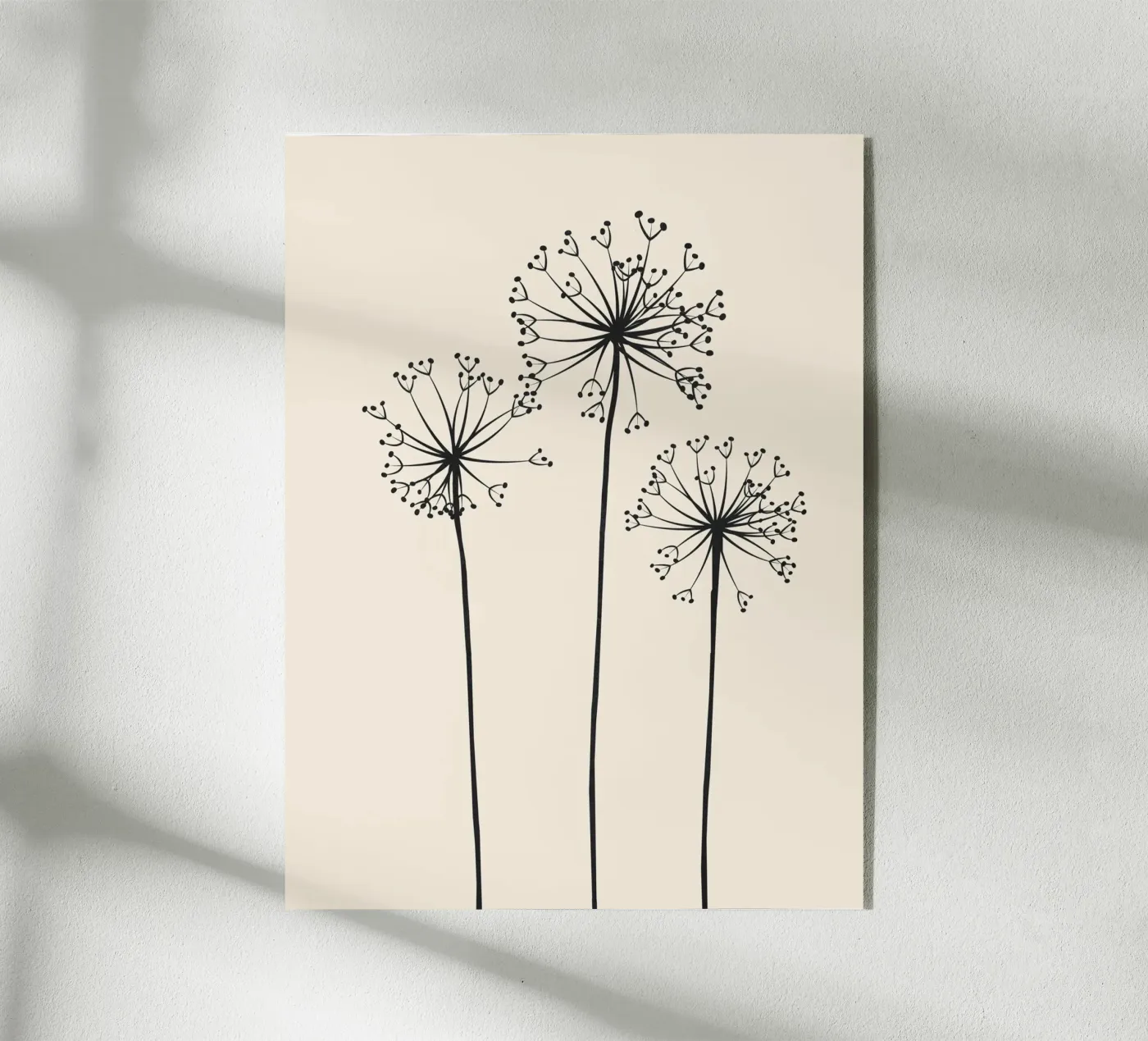 Dandelions plexiglass da Flow Line