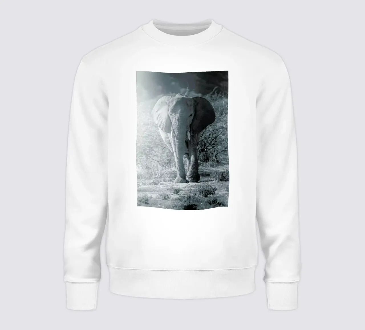 Elephant Walk felpa da Airpixels