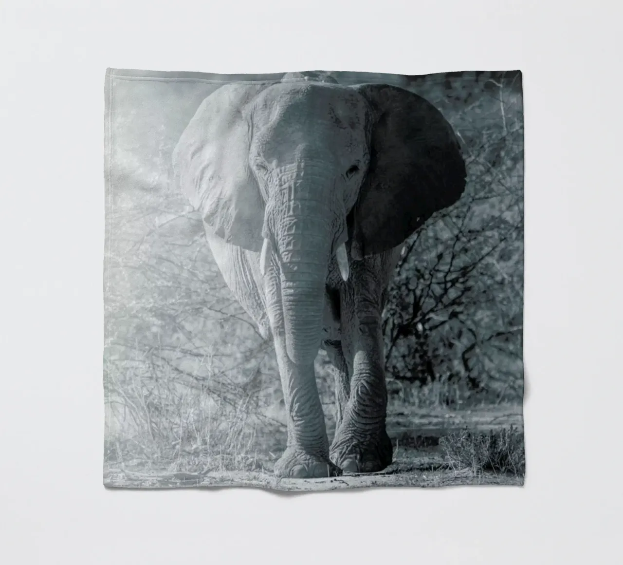 Elephant Walk coperta in pile da Airpixels