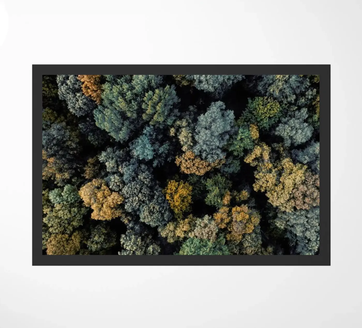 Toscana zerbino da Airpixels