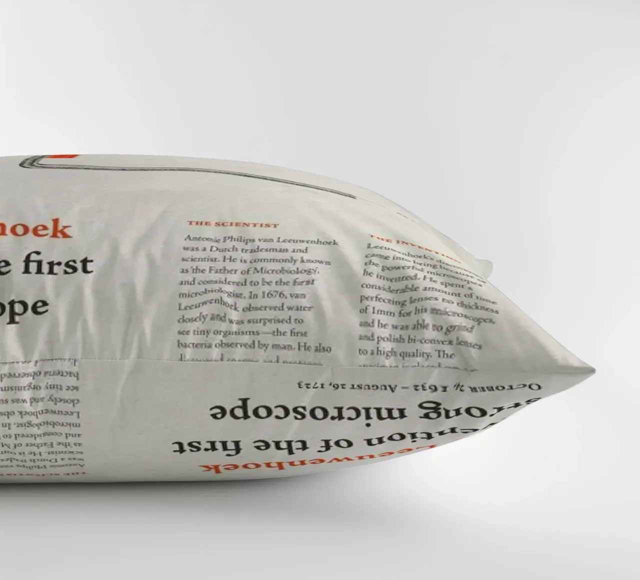 L for Leeuwenhoek cuscino da Khyati Trehan