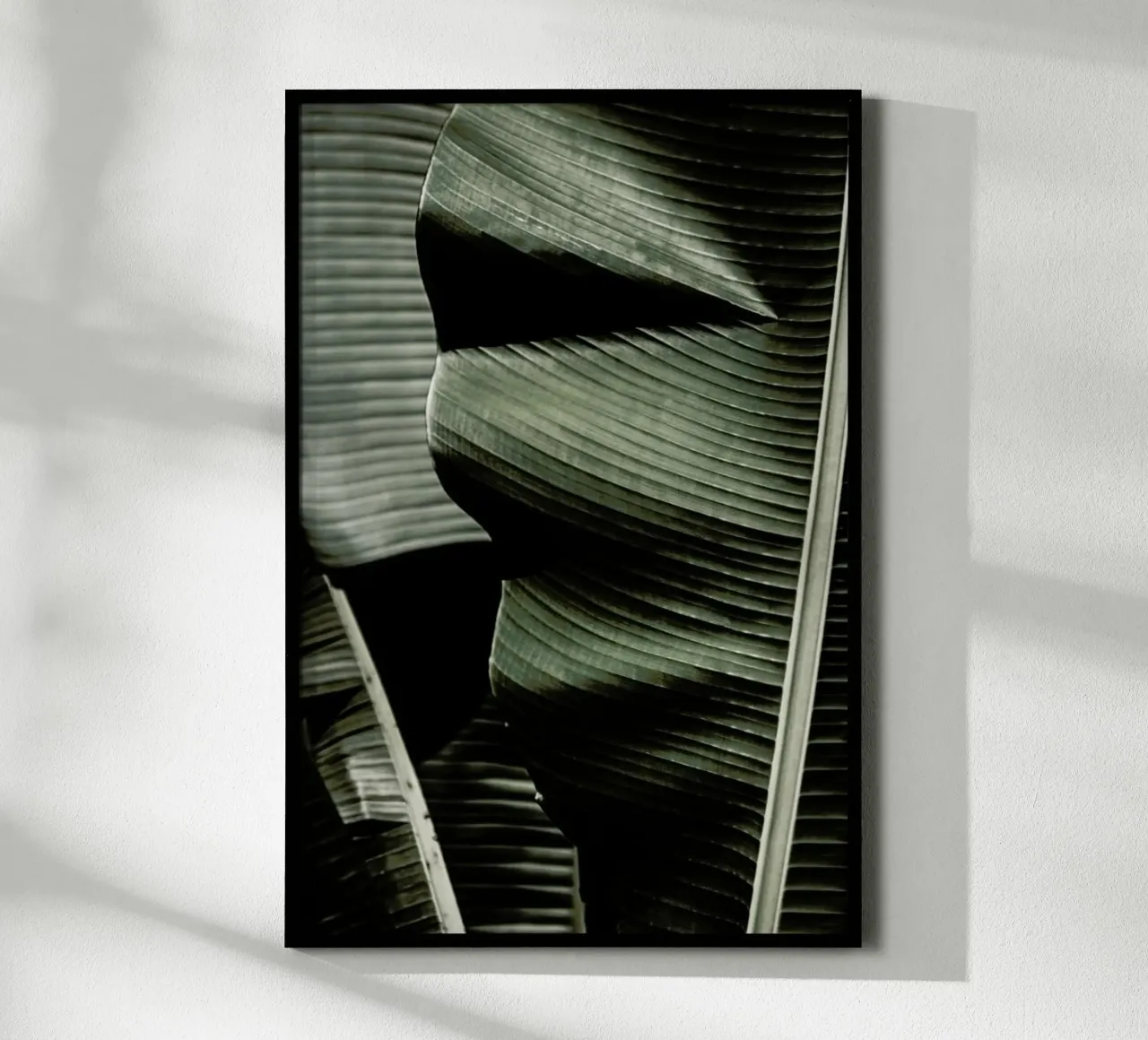 Banana Leaf Green poster con telaio in alluminio da Monika Strigel
