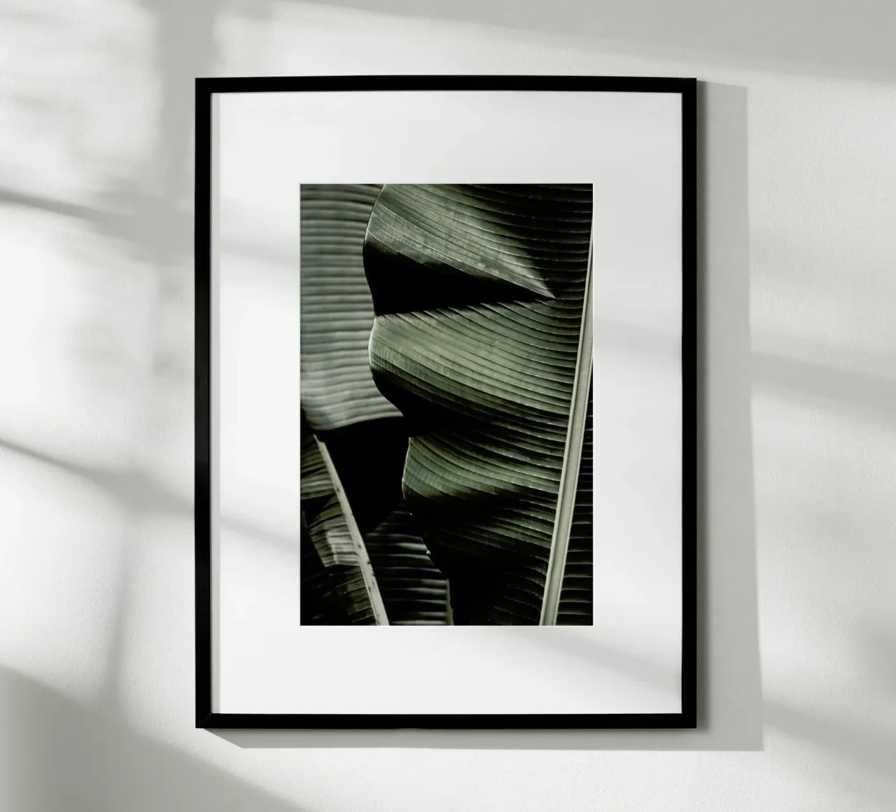 Banana Leaf Green poster con telaio in alluminio da Monika Strigel