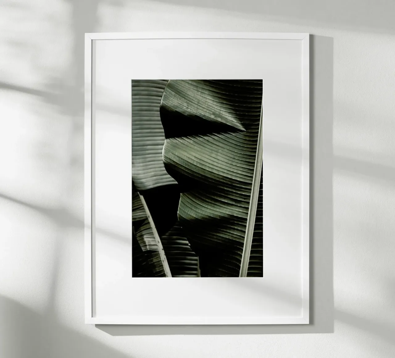 Banana Leaf Green poster con telaio in alluminio da Monika Strigel
