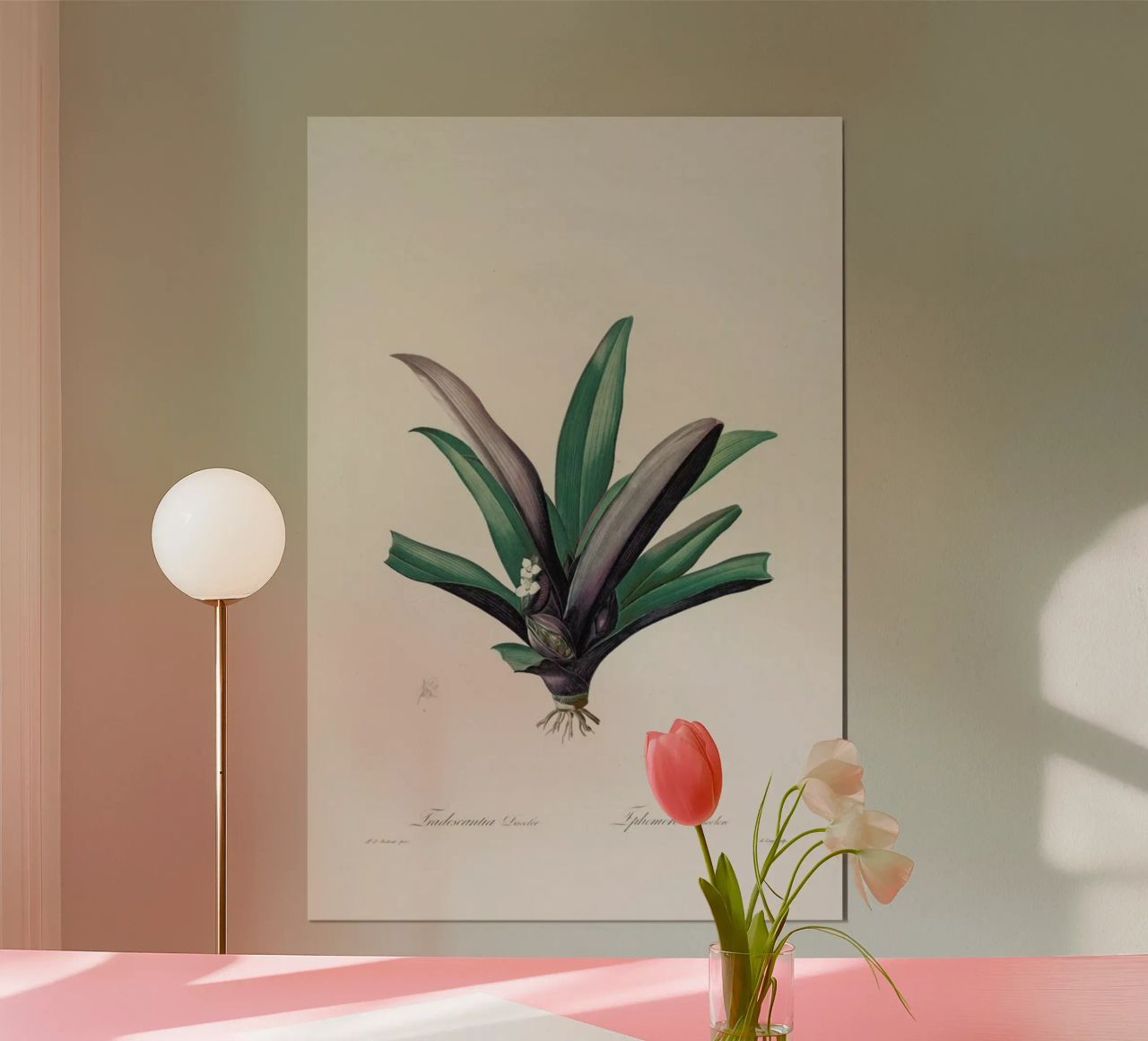 Tradescantia Discolour, 1802-1816 - Henry Joseph Redouté Poster von Artokoloro Quint Lox Ltd
