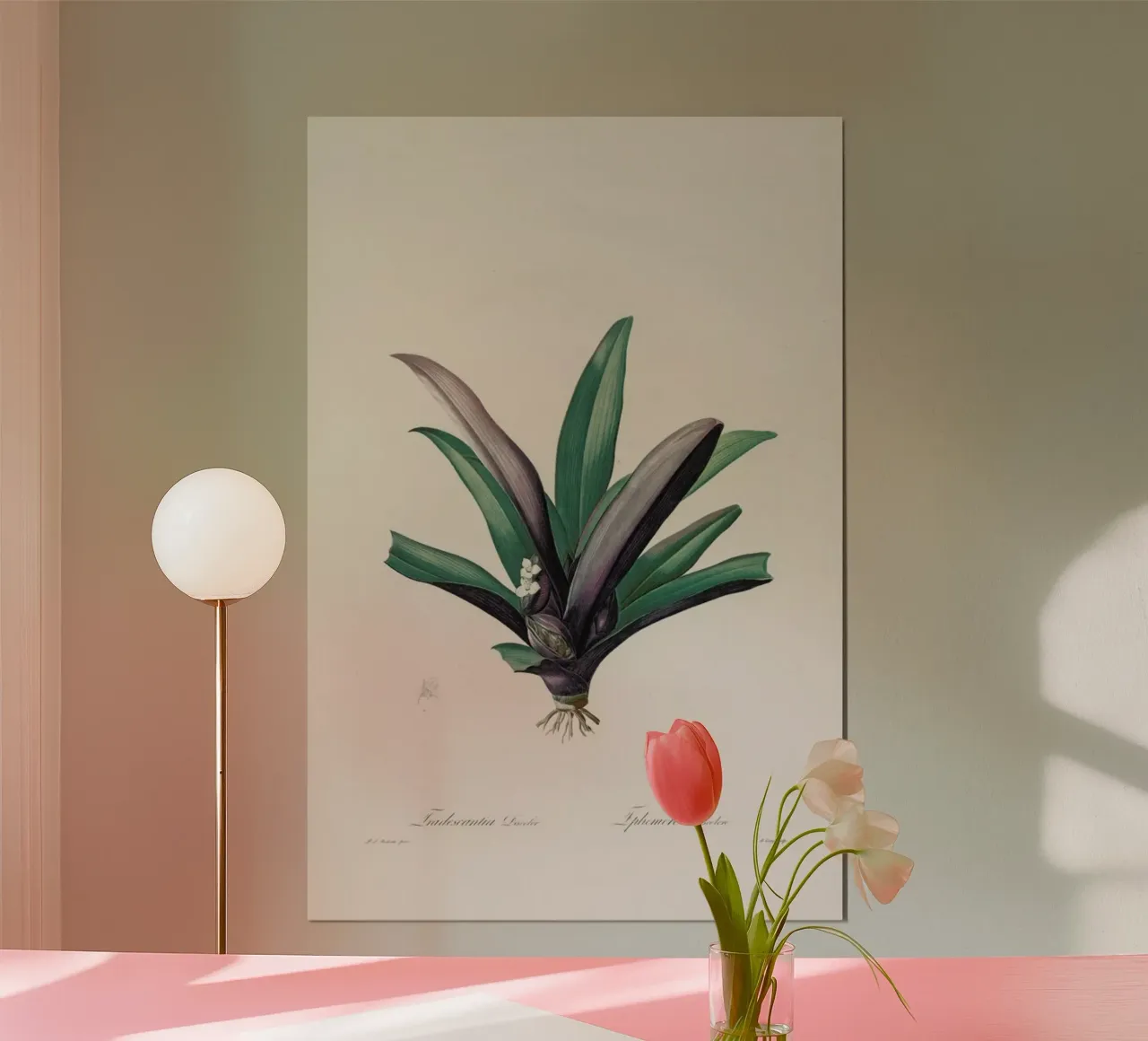 Tradescantia Discolour, 1802-1816 - Henry Joseph Redouté poster con marco de plástico de Artokoloro Quint Lox Ltd