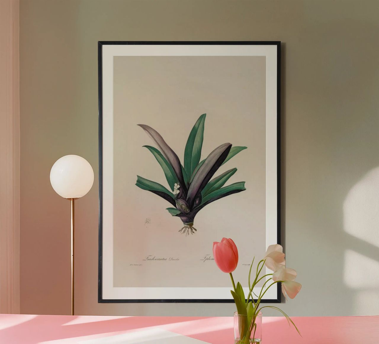 Tradescantia Discolour, 1802-1816 - Henry Joseph Redouté Poster von Artokoloro Quint Lox Ltd