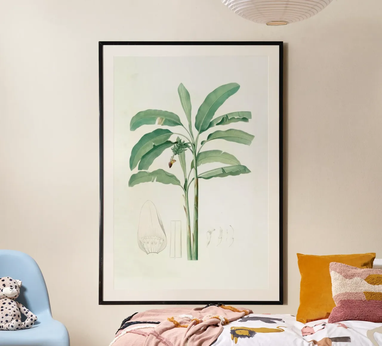 Musa paradisiaca, Cultivated Banana (Plant), -Pierre Joseph poster con telaio in plastica da Artokoloro Quint Lox Ltd