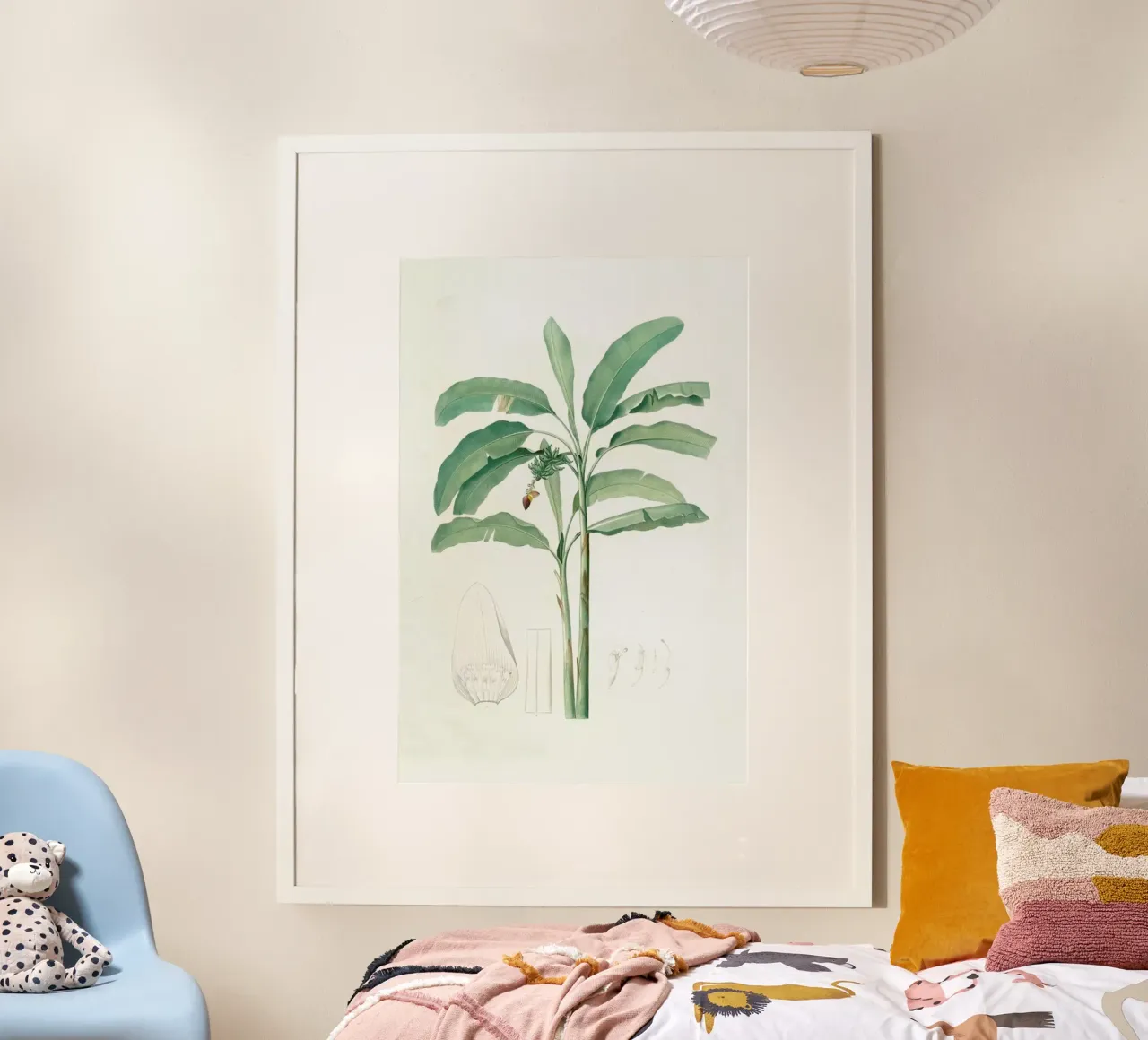Musa paradisiaca, Cultivated Banana (Plant), -Pierre Joseph poster con telaio in plastica da Artokoloro Quint Lox Ltd