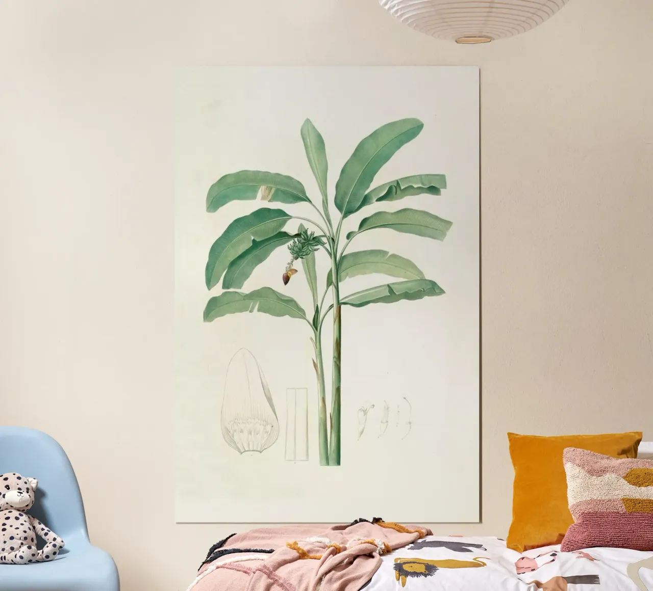 Musa paradisiaca, Cultivated Banana (Plant), -Pierre Joseph poster con telaio in plastica da Artokoloro Quint Lox Ltd