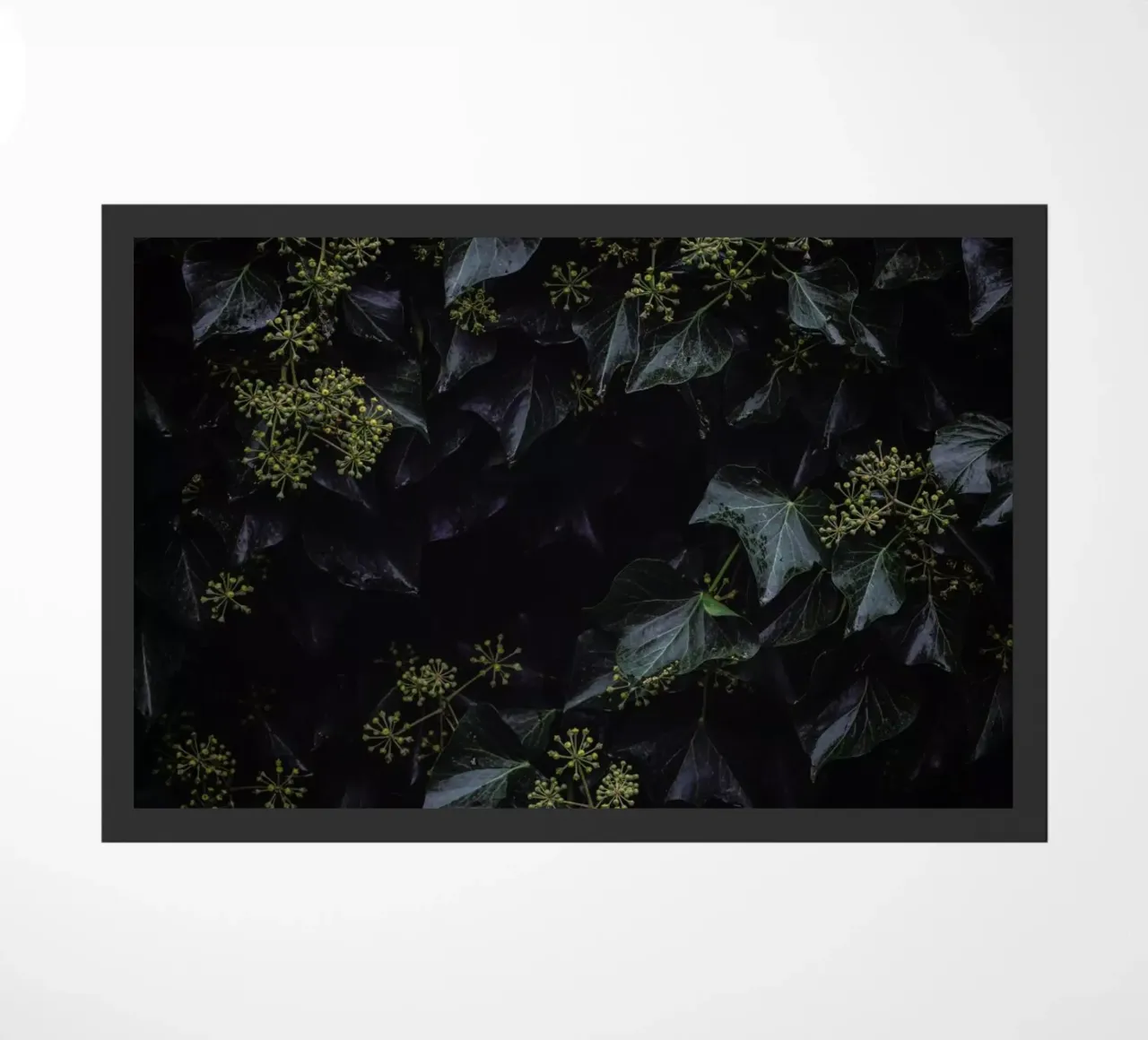 Blossoms In The Dark zerbino da Nur Mut
