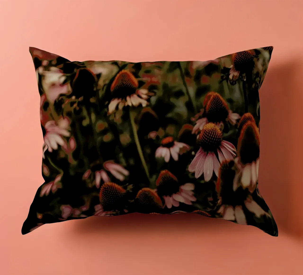 Echinacea cuscino da Ingrid Beddoes