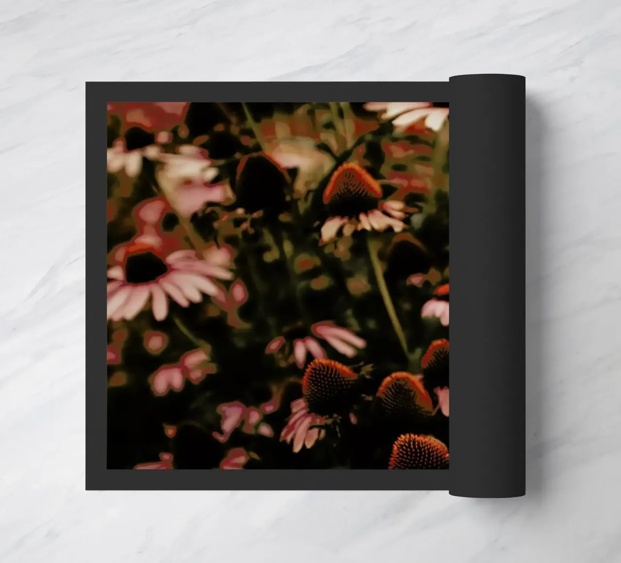 Echinacea zerbino da Ingrid Beddoes