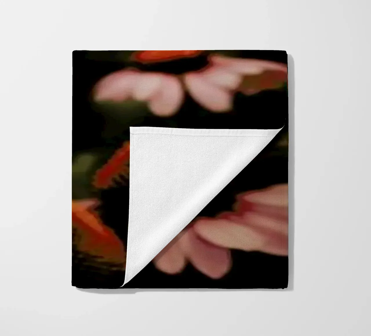 Echinacea telo mare da Ingrid Beddoes