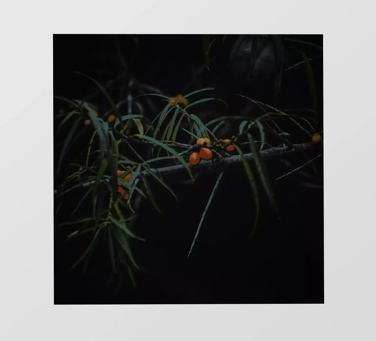 Fruits Of Autumn 3 pellicola backlit da Nur Mut