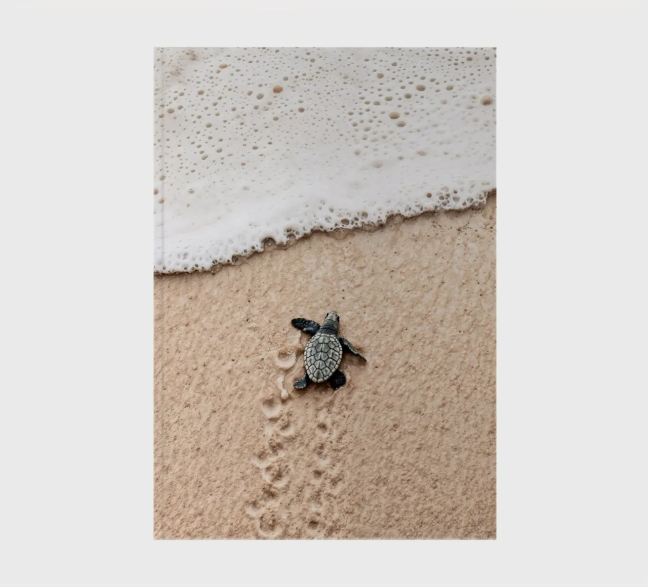 Tiny Steps, Big Ocean notebook by BLICKPUNKT