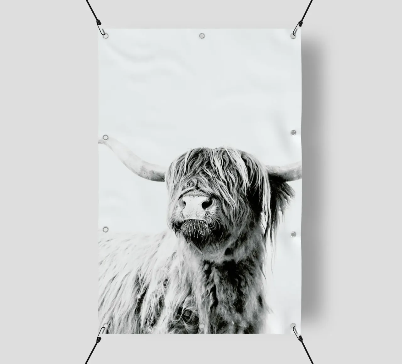 Highland Cattle Frida 2 telo in pvc da Monika Strigel