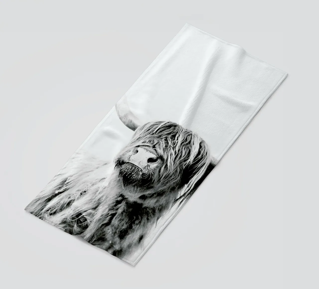 Highland Cattle Frida 2 telo mare da Monika Strigel