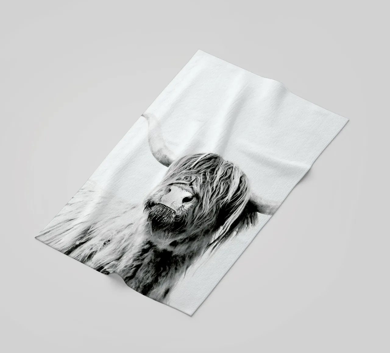 Highland Cattle Frida 2 telo mare da Monika Strigel