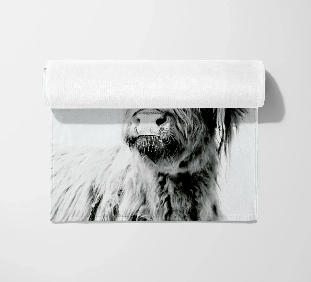 Highland Cattle Frida 2 telo mare da Monika Strigel