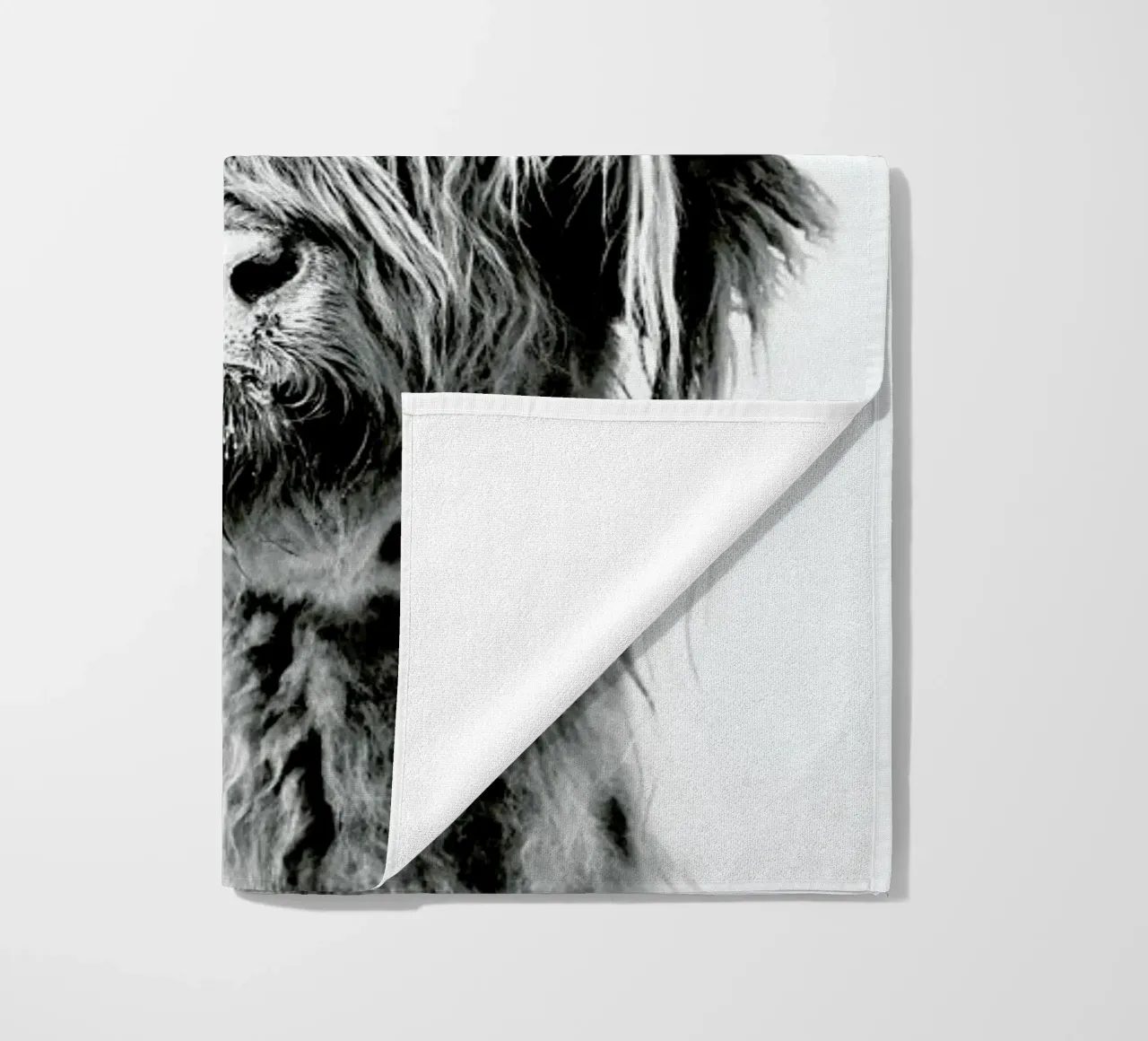 Highland Cattle Frida 2 telo mare da Monika Strigel