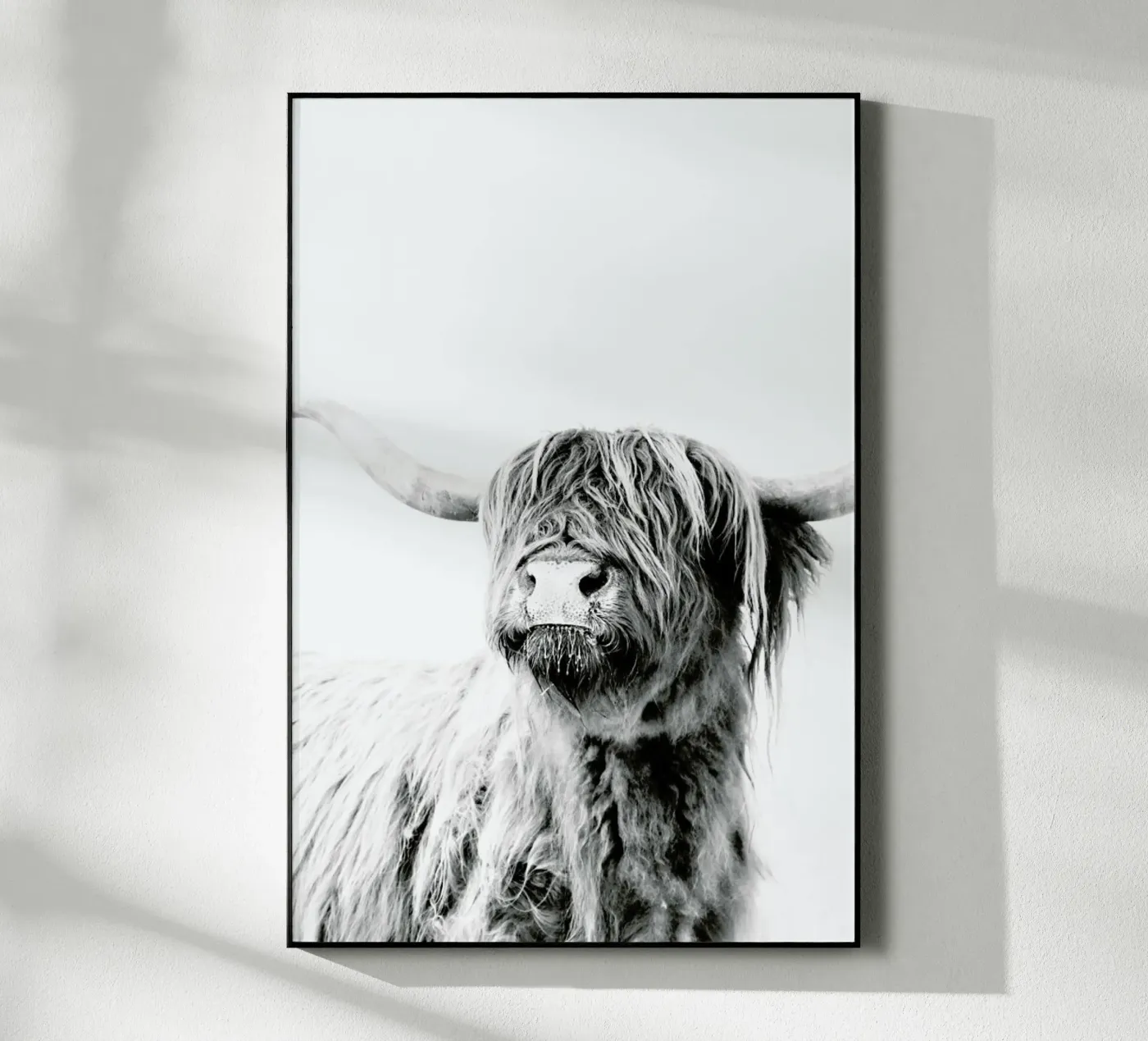 Highland Cattle Frida 2 plexiglass da Monika Strigel