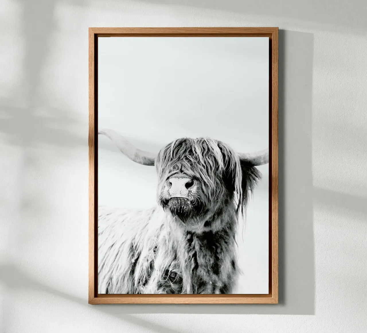 Highland Cattle Frida 2 tela con Cornice a cassetta da Monika Strigel